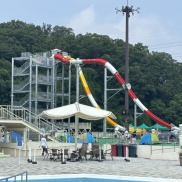 夏だ!プールだ!ネスタだ~!