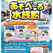 イベント情報🐟