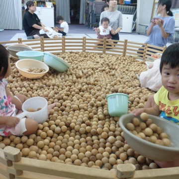 木育ひろめ隊活動報告